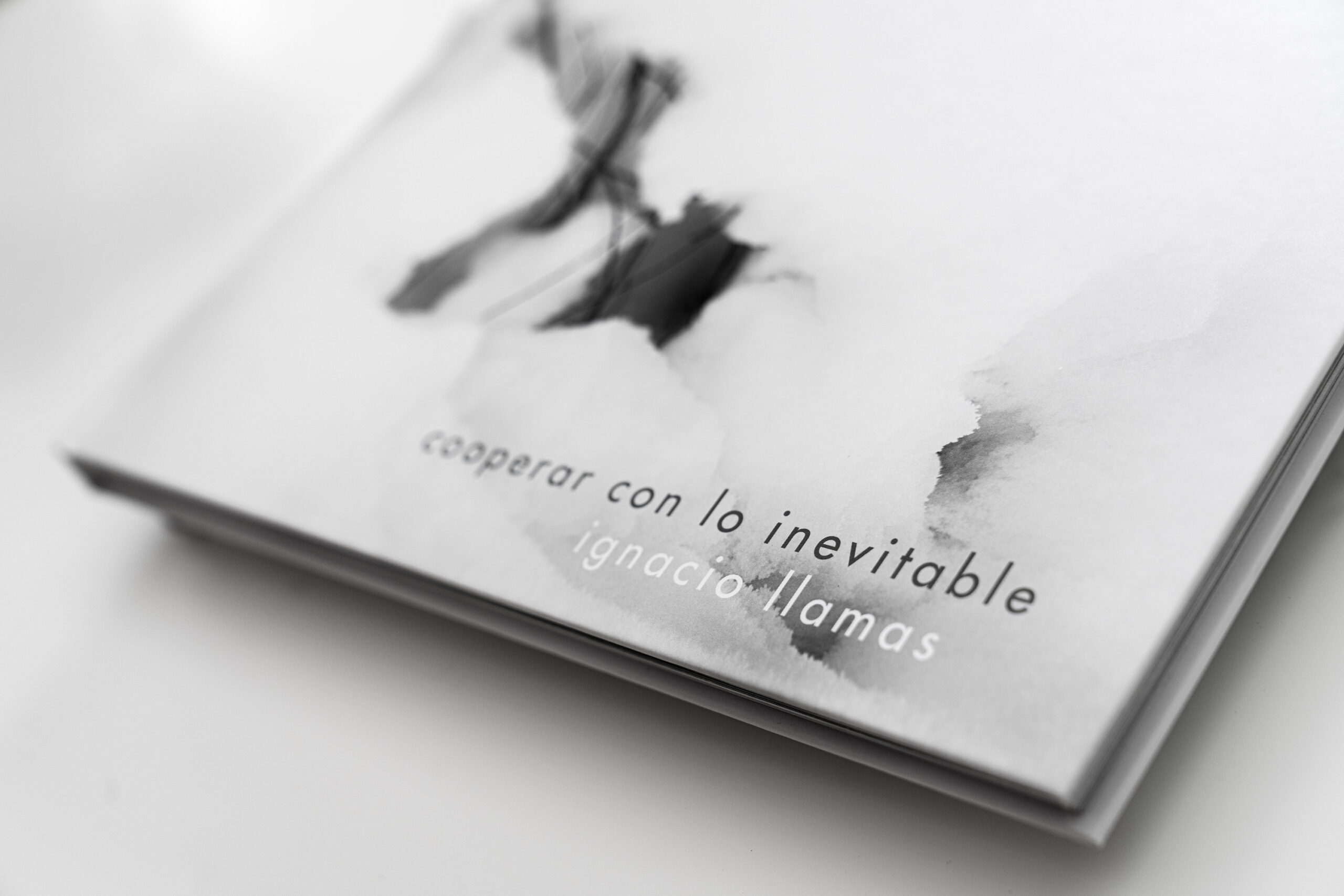 Entre palabra e imagen