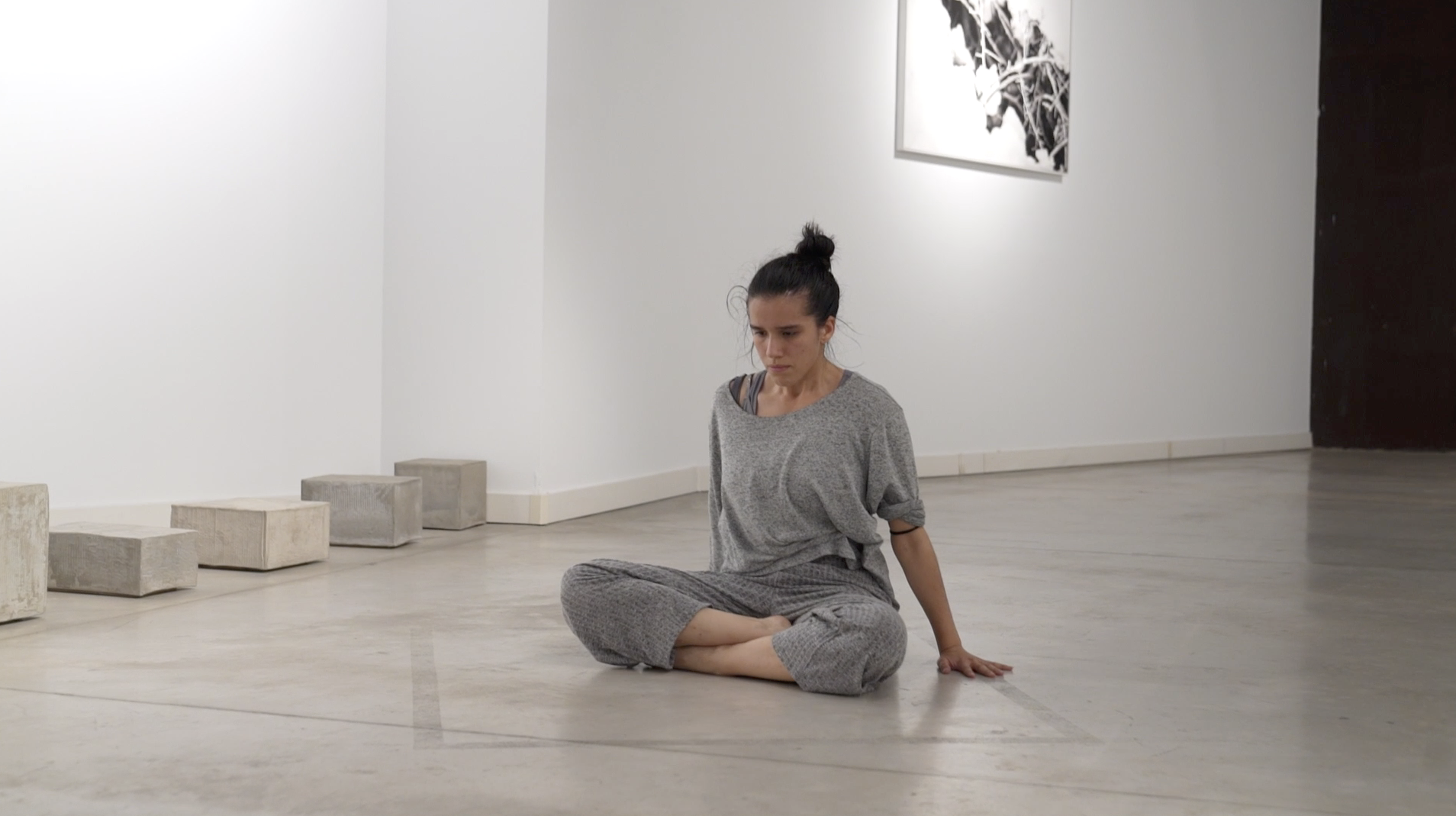 Danza para una exposición